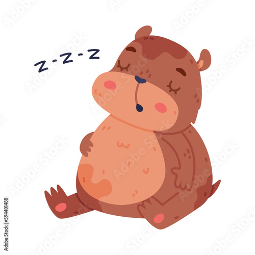 Cute Hamster Character with Stout Body Sitting and Sleeping Vector Illustration