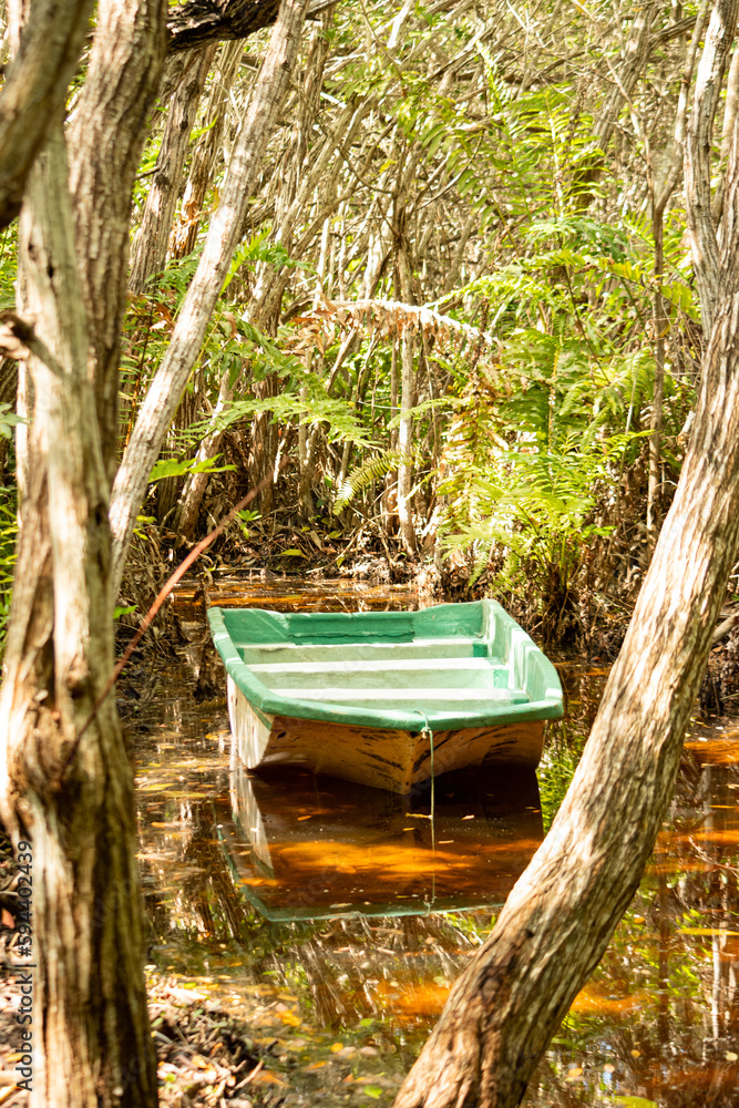 Boat floating on red mangrove surrounded by vegetation. Yucatan Peninsula, Mexico. Boat floating on red mangrove surrounded by vegetation. Yucatan Peninsula, Mexico.