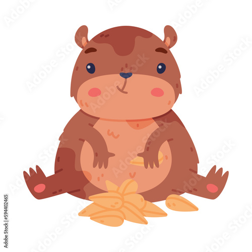 Cute Hamster Character with Stout Body Sitting and Eating Seeds Vector Illustration