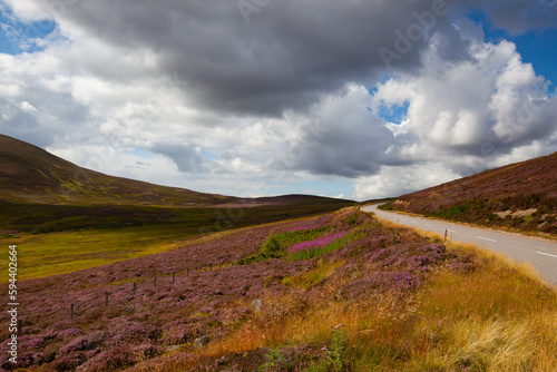 Hills full of heather in Cairnwell Pass in the Scottish Highlands, Scotland. photo