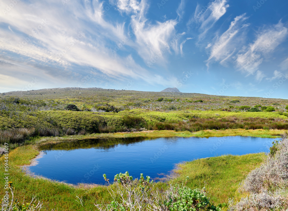 Waterhole in th wilderness of Cape Point National Park. Small waterhole in the wilderness of Cape Point National Park, Western Cape, South Africa.