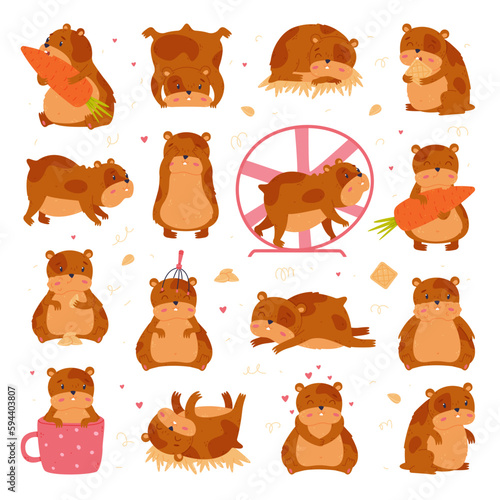 Cute hamster in everyday activities big set. Funny brown pet rodent cartoon vector illustration