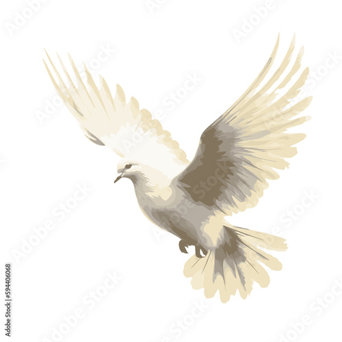 white dove in flight