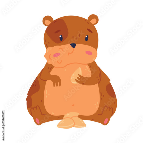 Cute hamster eating seeds, funny brown rodent pet animal cartoon vector illustration