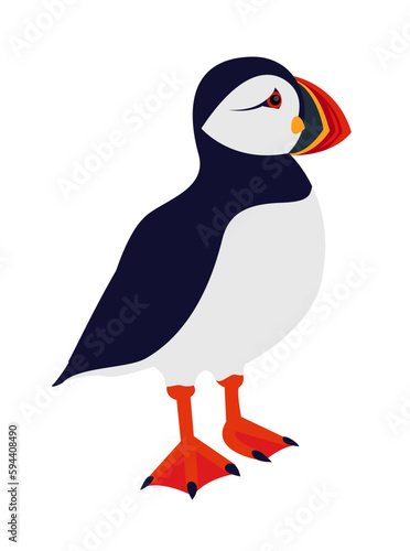 Vector illustration of a puffin, isolated on a white background.