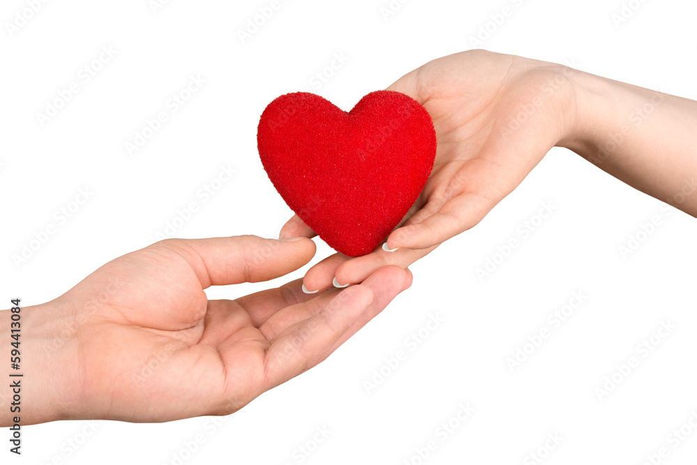 Female and Male Hands Holding a Heart