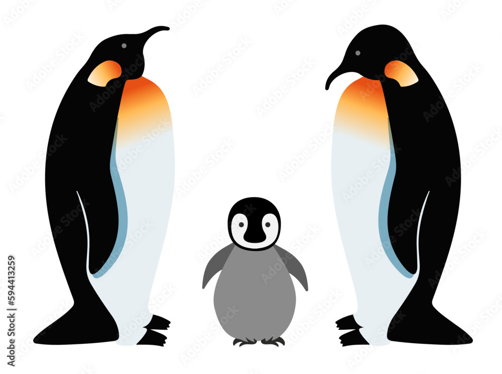 Obraz premium Vector illustration of a penguins family isolated on a white background. A baby and his parents, north pole