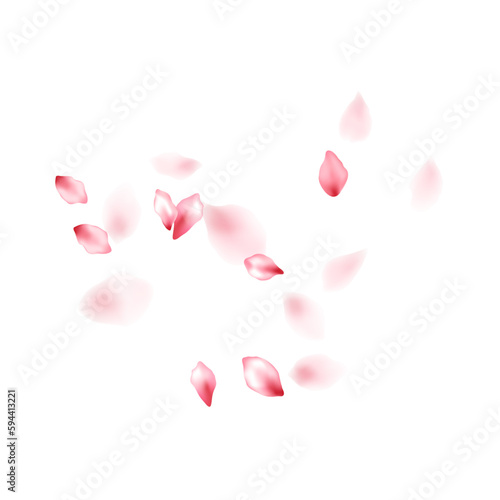 Pink sakura flower flying petals isolated on white vector background.