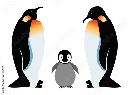 Vector illustration of a penguins family isolated on a white background. A baby and his parents, north pole
