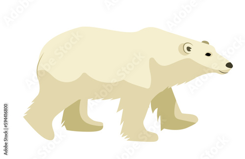 Vector illustration of a polar bear isolated on a white background. Arctic animal.