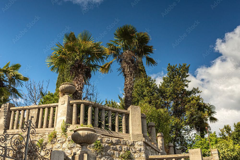 View at a mediterrean garden with palm trees in croatia in early spring