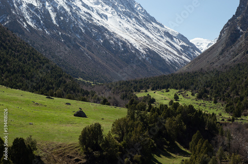 Alamedin river gorge spring mountain landscape