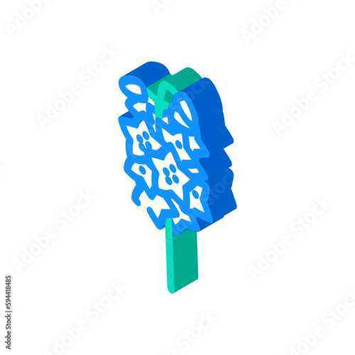 delphinium blossom spring isometric icon vector illustration