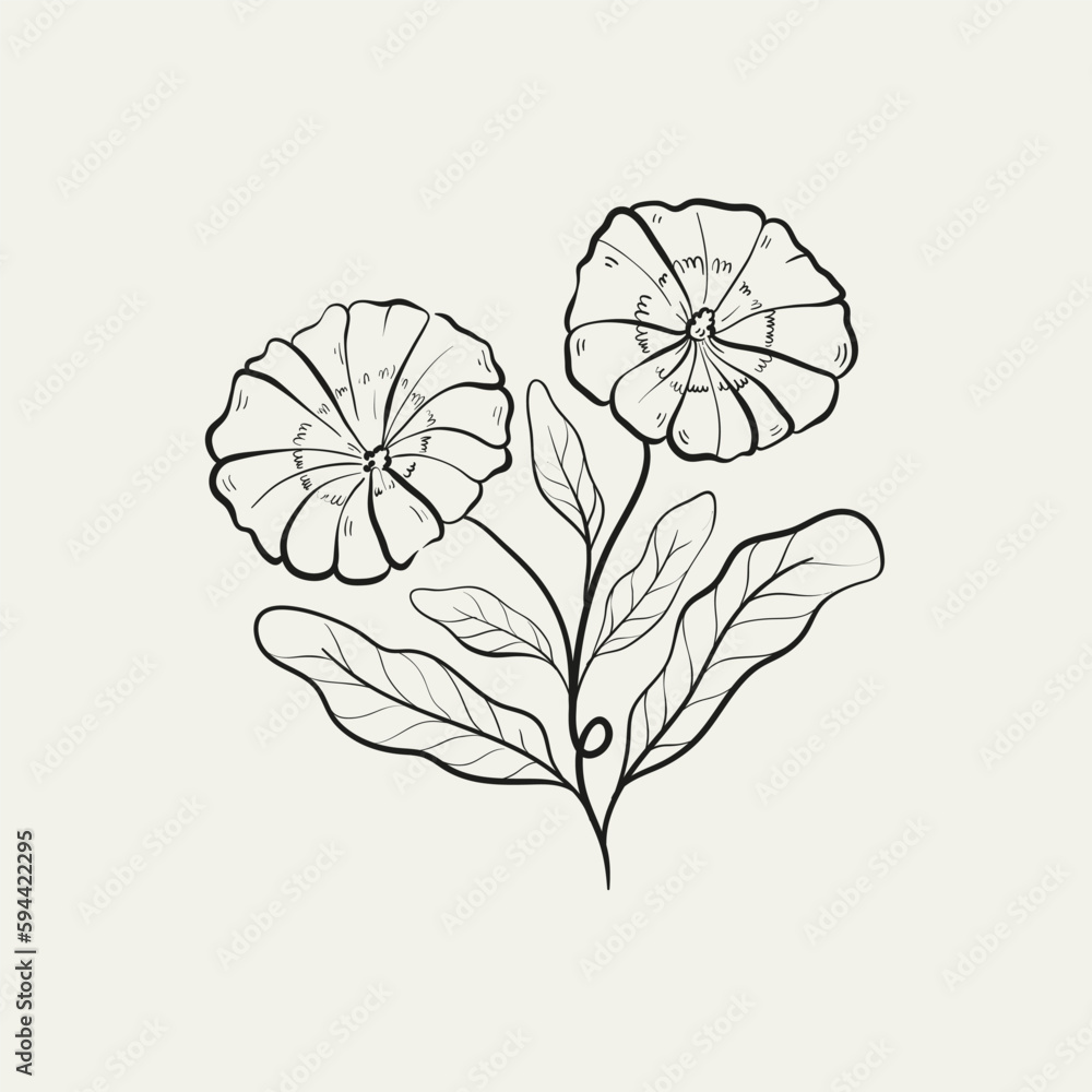 Botanical drawing. Minimal plant logo, botanical graphic sketch drawing,  meadow greenery, leaf and blooming flower abstract sketch element collection, rustic branch. Trendy tiny tattoo design, floral