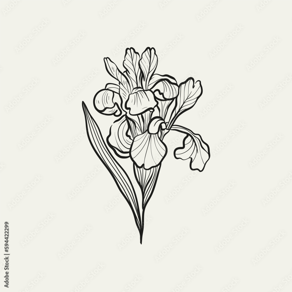 Obraz premium Botanical drawing. Minimal plant logo, botanical graphic sketch drawing, meadow greenery, leaf and blooming flower abstract sketch element collection, rustic branch. Trendy tiny tattoo design, floral