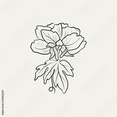 Botanical drawing. Minimal plant logo  botanical graphic sketch drawing   meadow greenery  leaf and blooming flower abstract sketch element collection  rustic branch. Trendy tiny tattoo design  floral