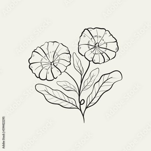 Botanical drawing. Minimal plant logo  botanical graphic sketch drawing   meadow greenery  leaf and blooming flower abstract sketch element collection  rustic branch. Trendy tiny tattoo design  floral