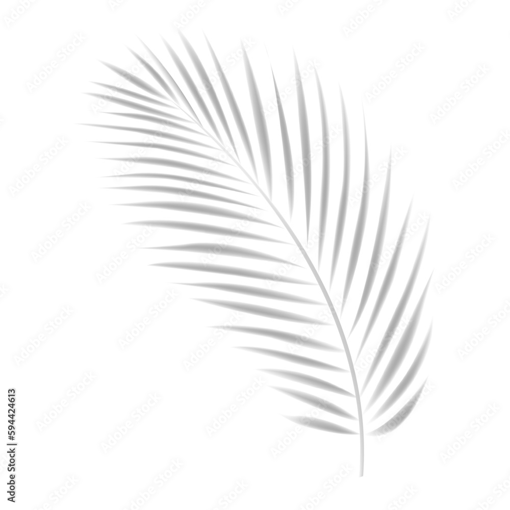 Tropical Leaves Shadow Mockup With Transparent Background Tropical Leaves Shadow Mockup With Transparent Background