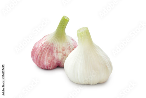 Raw garlic. Fresh white and purple garlic heads isolated on white