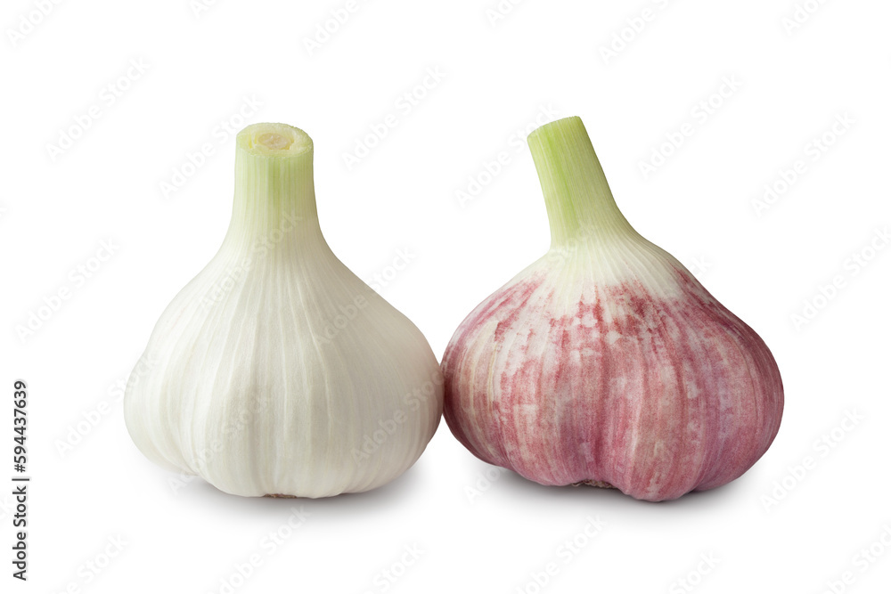 Obraz premium Raw garlic. Garlic heads isolated on a white