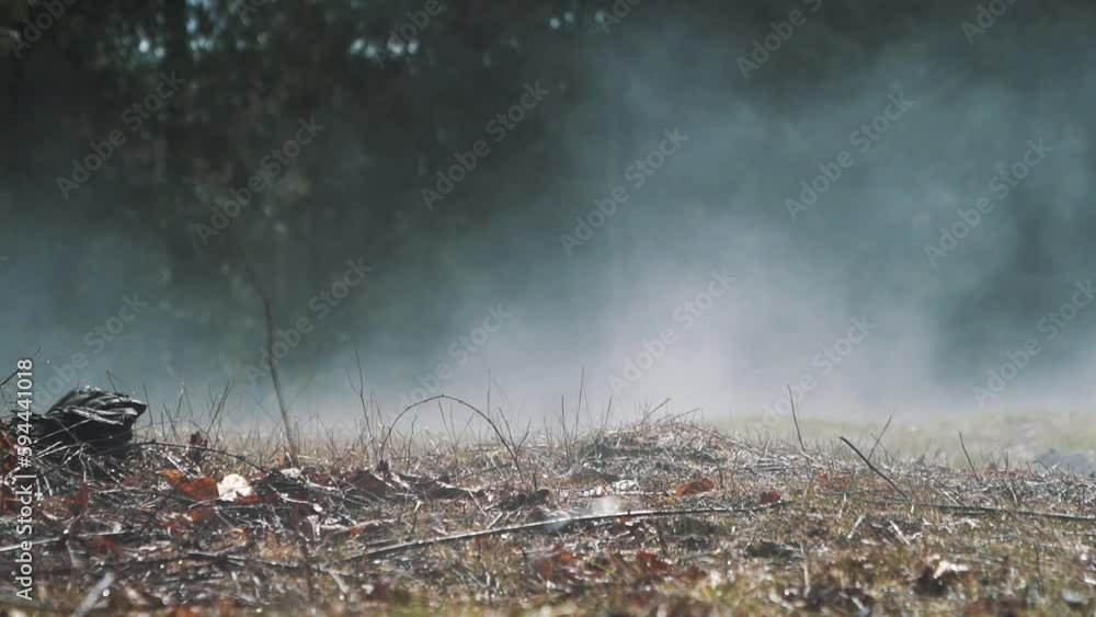 Mist in a grassy forest. Slow motion mist rising in the morning