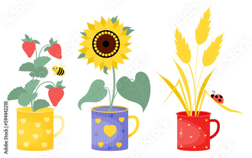 Collection summer cups with flower, berries and insects. Yellow sunflower, bouquet of spikelets with ladybug and branch with strawberries and cute bee. Vector illustration in flat style.