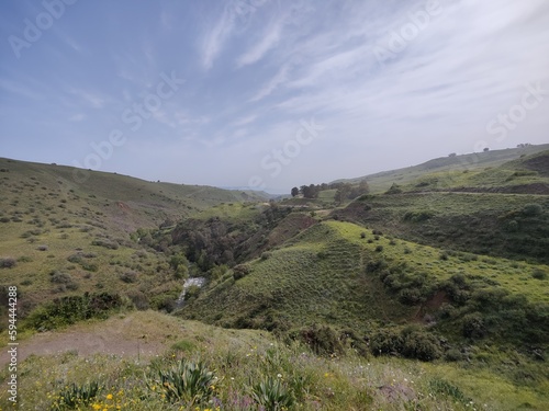 israeli nature summer 