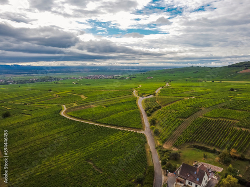 Aerial vIew by drone. Summer. France, Alsace. Riquewihr fortess town.