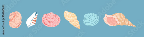 Set of colorful sea shell on a blue background. Hand drawn vector illustration. Flat cartoon style. Summer vacation collection, tropical beach shells.