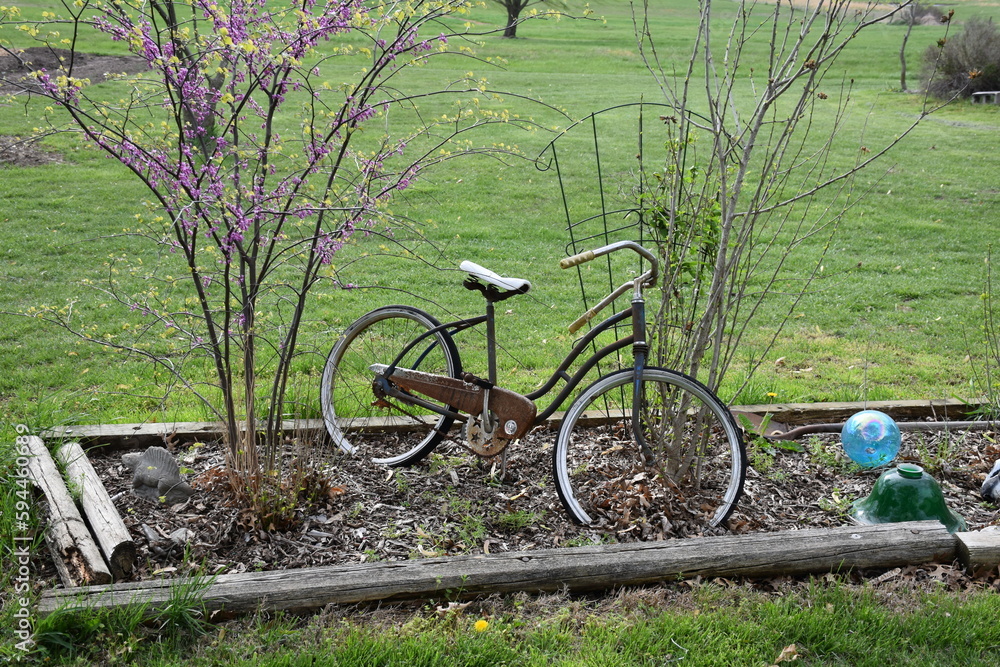 Vintage Bicycle Decoration in a Garden