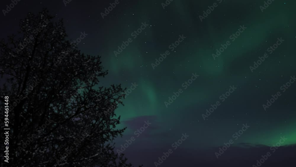 The Northern Lights (Aurora Borealis) shining on a starry night sky behind a silhouette of a tree. Time Lapse. The Northern Lights (Aurora Borealis) shining on a starry night sky behind a silhouette of a tree. Time Lapse.