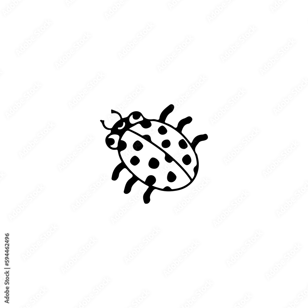 bug insect doodle illustration vector bug insect doodle illustration vector