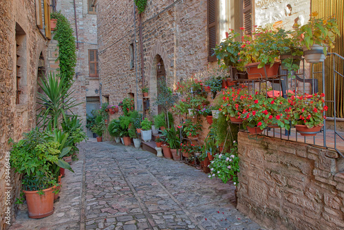 Fototapeta Naklejka Na Ścianę i Meble -  Italy, Umbria. Scenic sight in Spello, flowery and picturesque village.