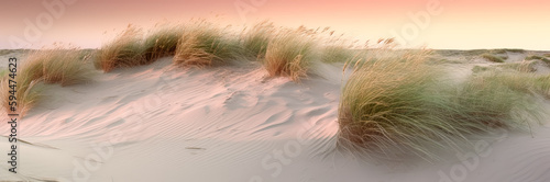 Dune in the sand that leads down to the ocean at dusk. Generative Ai.