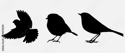 isolated black silhouette of a bird, vector collection