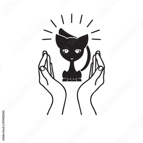 Photography Cat Lady