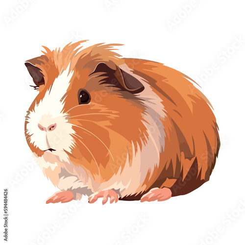 Fluffy rodent hamster sitting