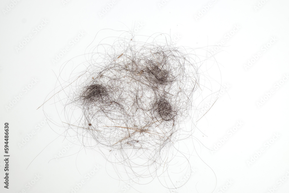 Pile of Hair and Dirt on iSolated White Background, Unhealthy Hygiene Dust and Scraps on the Floor