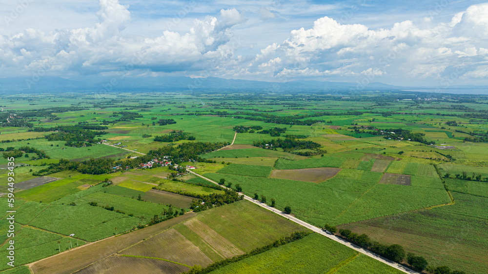 Top view of farmland with rice fields and sugarcane. Negros, Philippines
