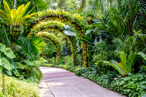 Slika na platnu Archways over a walkway at the Singapore Botanical Garden
