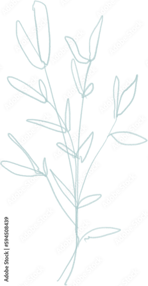 Sketch branch with leaves, outline floral botanical illustration