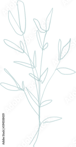 Sketch branch with leaves, outline floral botanical illustration