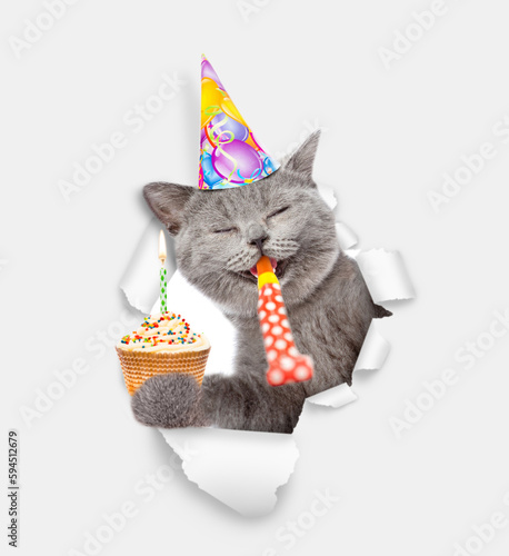 Happy cat wearing party cap blows in party horn and looks through a hole in white paper and shows cupcake with burning candle