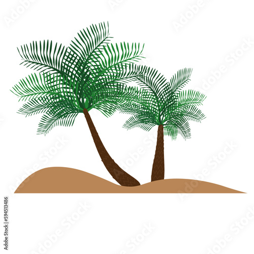 palm trees on the beach for decorating wallpaper and background