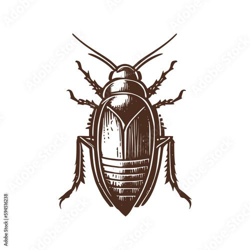 Vintage logo of a cockroach. an old-school logo of roaches. Aesthetic retro logo of a cricket isolated on white background. vector logo of a bug.