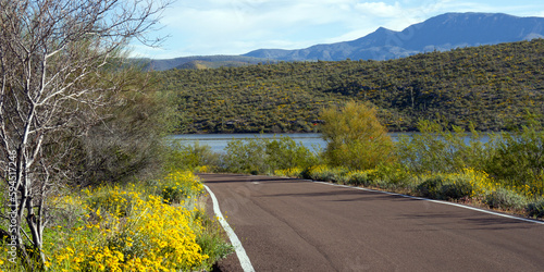 Scenic drive through Theodore Roosevelt Lake with high water and super bloom wildflowers in spring 2023 photo