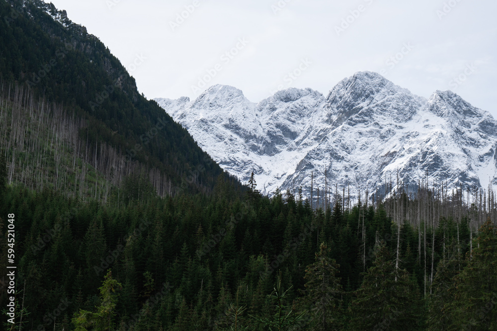 Snowy mountains, green forests In National park Zakopane Poland. Mountain nature landscape. Blue sky. Travel outdoors green tourism concept Naturecore. Hiking wellbeing 