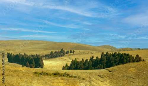 Landscape of Laitlum Canyons Shillong hills with pintrees.