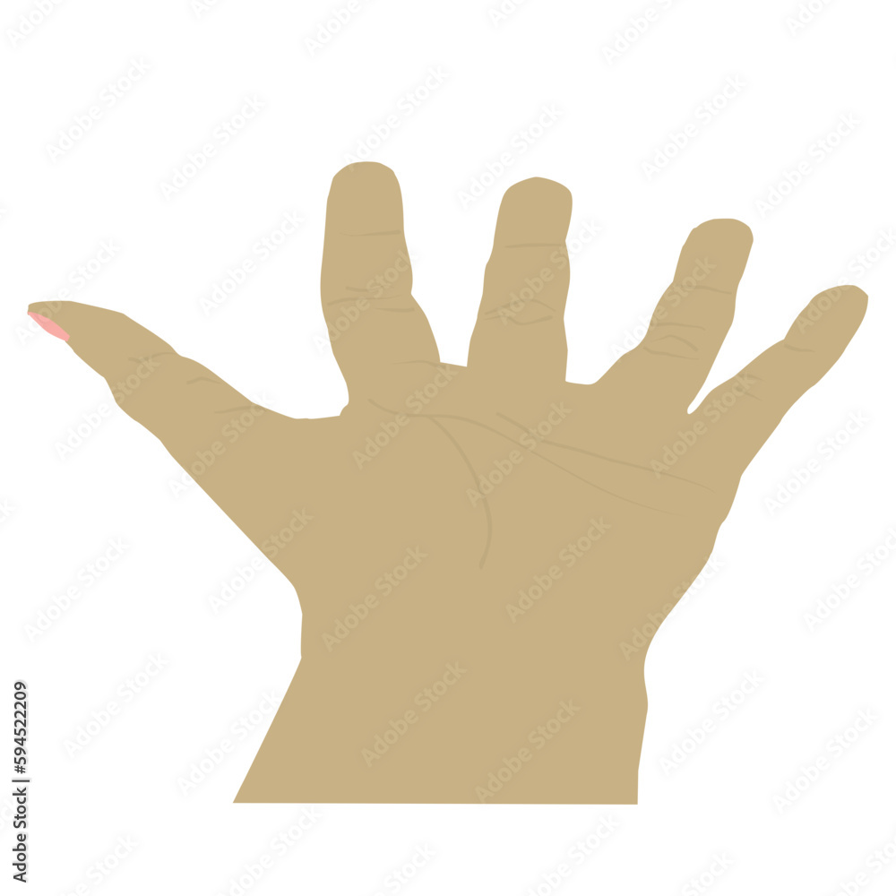 Palm hand. Human hand Palm hand. Human hand