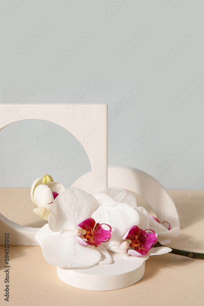 Decorative plaster podiums and beautiful orchid flowers on beige table against grey background Decorative plaster podiums and beautiful orchid flowers on beige table against grey background